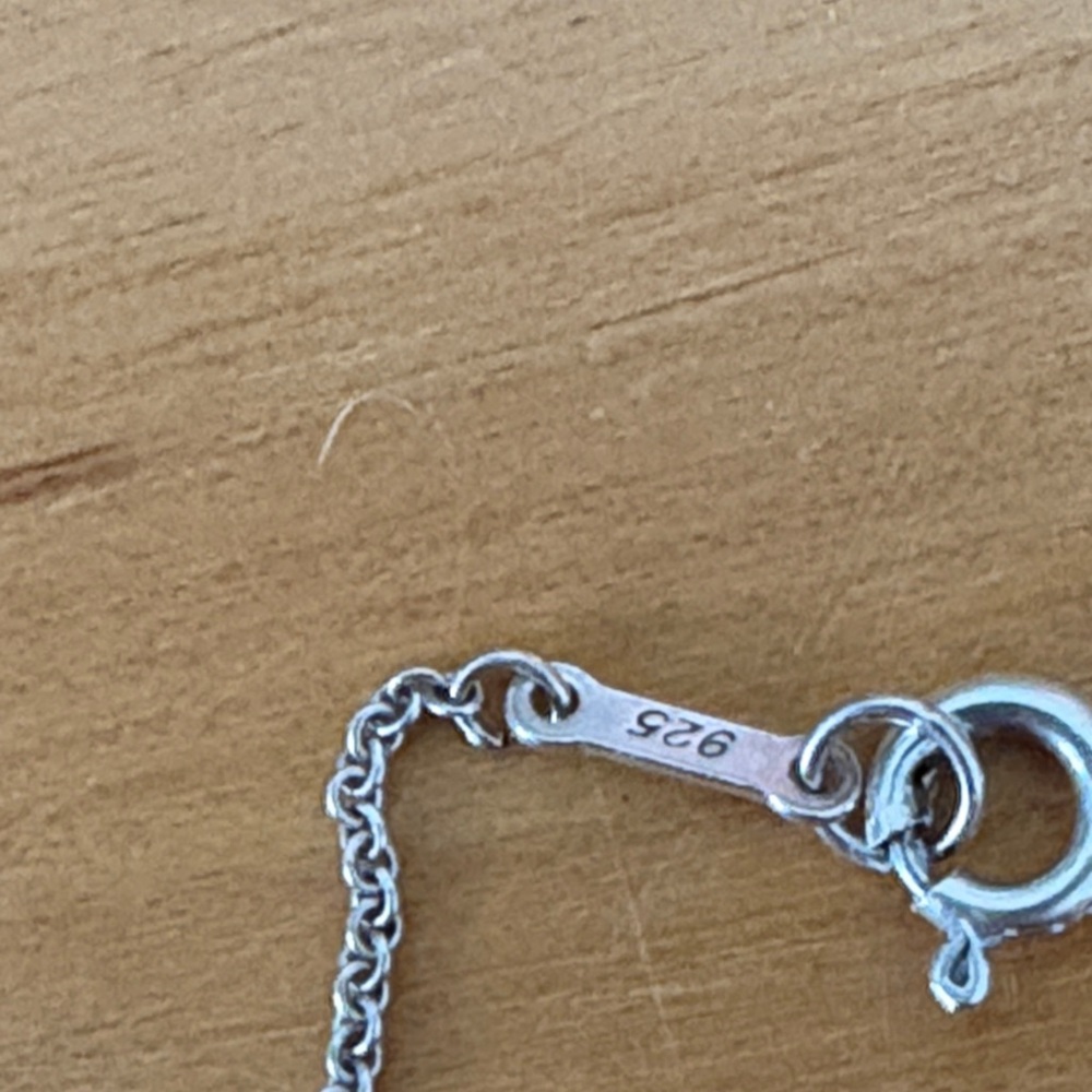 Tiffany & Co. Else Peretti Apple 15mm Necklace Pendant Sterling Silver 16" - Picture 9 of 14